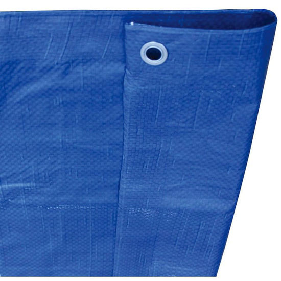 Picture of 30-ft x 50-ft Blue Standard Polyethylene Tarp