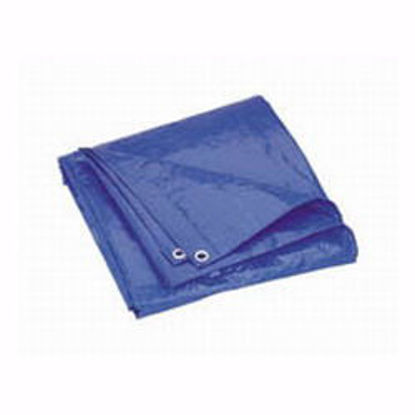 Picture of 06 X 08 Tarpaulin Blue