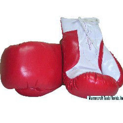 Picture of Boxing Glove