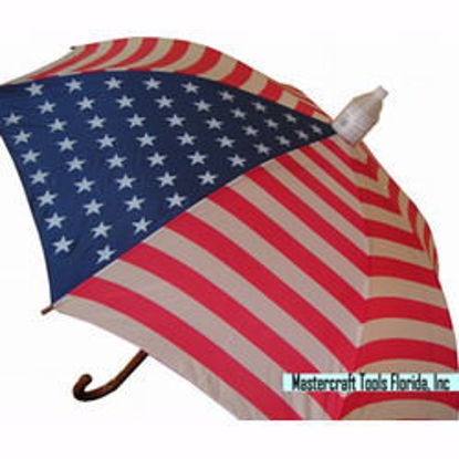 Picture of Umbrella with Cover