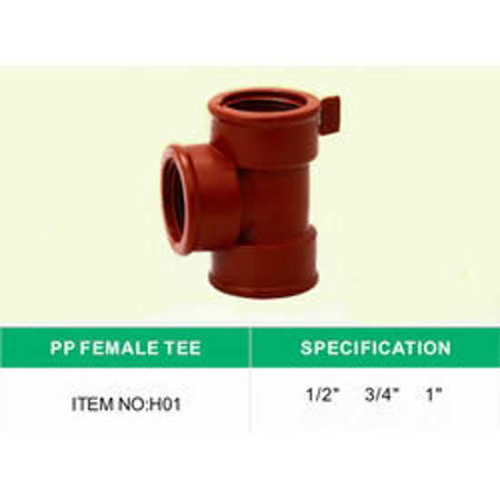 Picture of PP Female Tee 1/2"