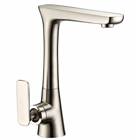 Picture of F80021BN, Brushed Nickel Single Handle Kitchen Faucet