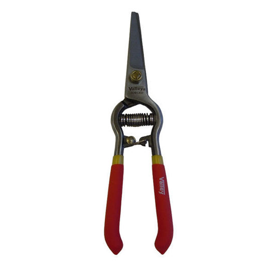 Picture of 8" Pruning Shears Straight