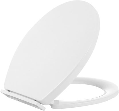 Picture of Plastic Round Toilet seat White