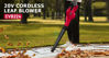 Picture of 20Volt Cordless Leaf Blower w/Li-ion battery