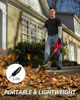 Picture of 20Volt Cordless Leaf Blower w/Li-ion battery