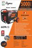 Picture of 5000 Watt Portable Gasoline Generator with Co Sensor